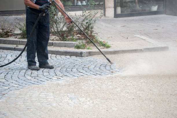 Best Gutter Cleaning  in Lathrop, MO
