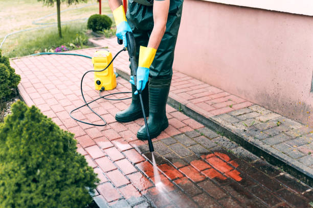 Best Driveway Pressure Washing  in Lathrop, MO